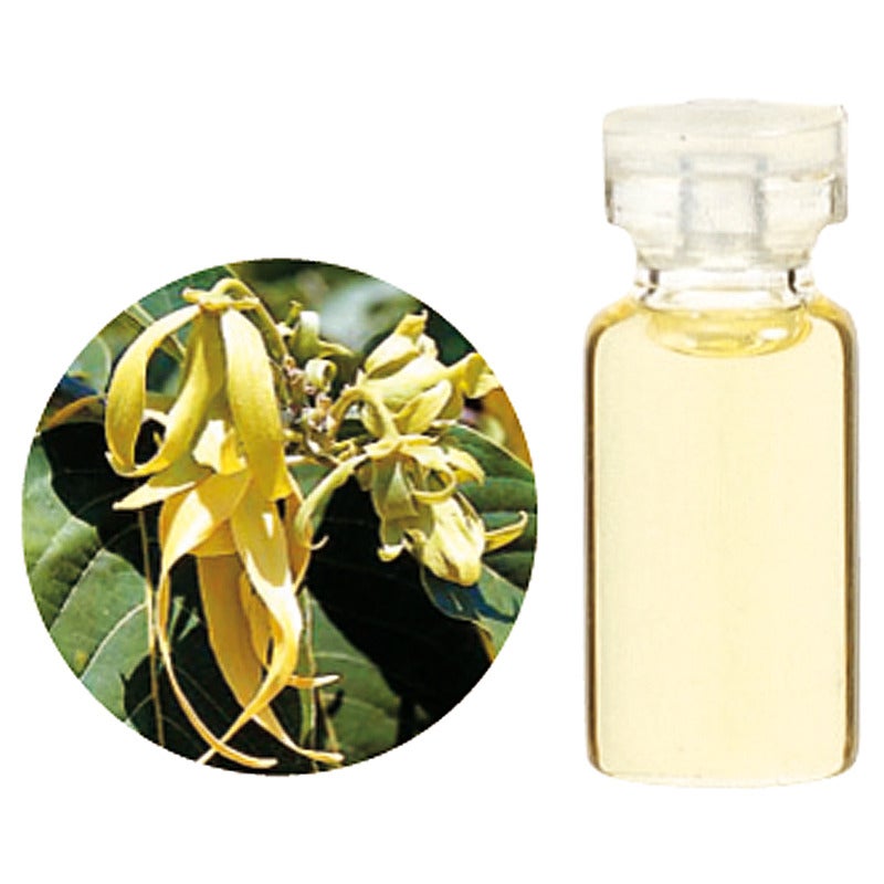 エッセンシャルオイル イランイラン１０ｍｌ