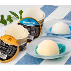 自家製アイスクリーム 2種セット（KM）