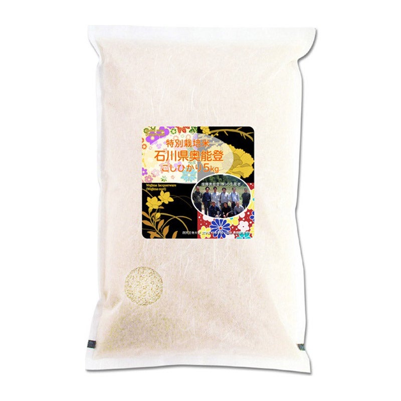 【能登復興支援】特別栽培米石川県奥能登産こしひかり　5kg＜社員販売会特別価格＞