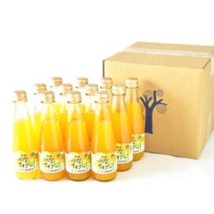 有田みかんサイダー（果汁50％・200ml×12）（M0241）