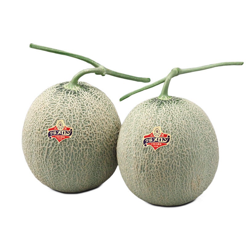 あい然/夕張メロン 優 約1.3kg×2玉