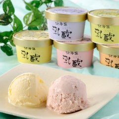 「乳蔵」北海道アイスクリーム10個