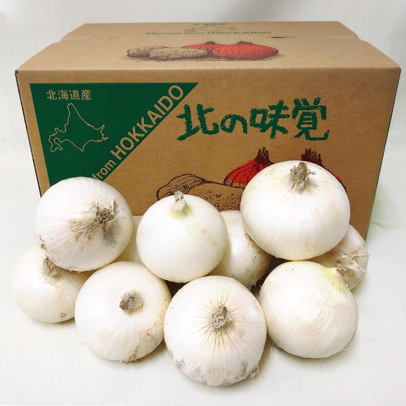 あい然/白玉ねぎ 5kg