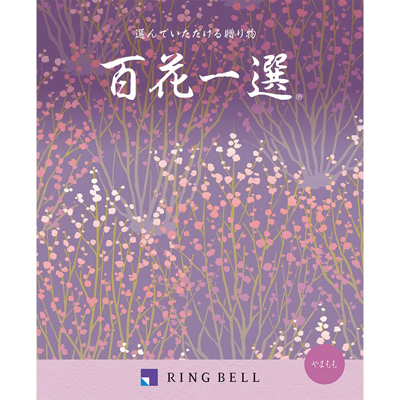 百花一選（山桃　やまもも）（P027-109）