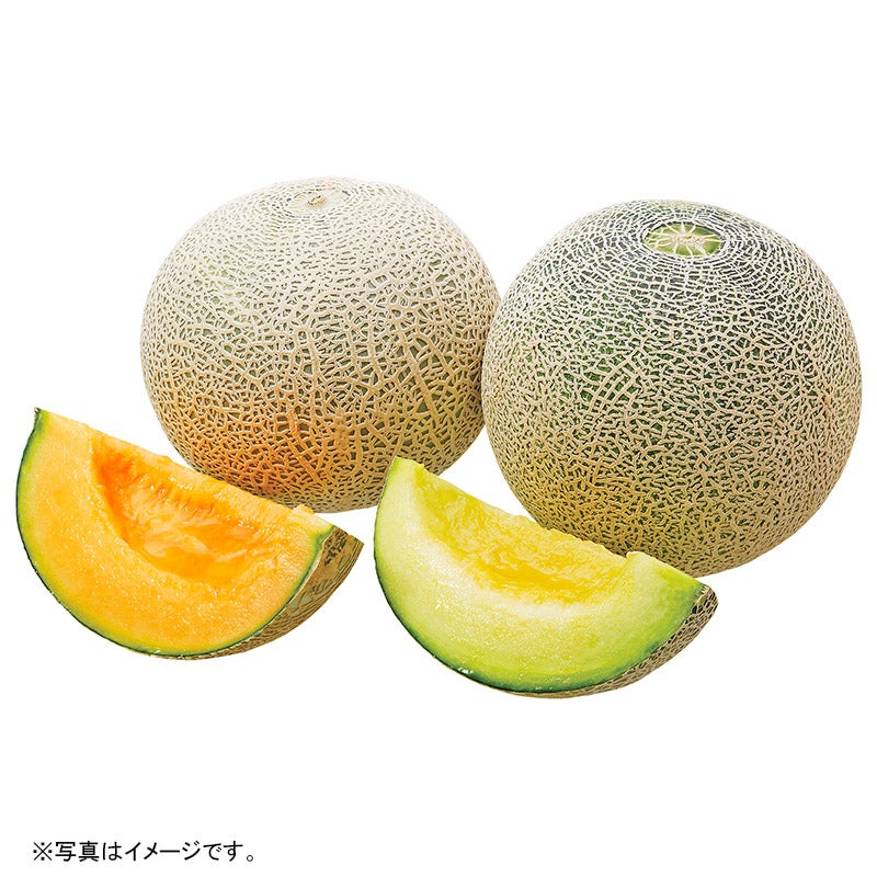 秋田県産 秋田美人メロン×美人レッドメロン詰合せ