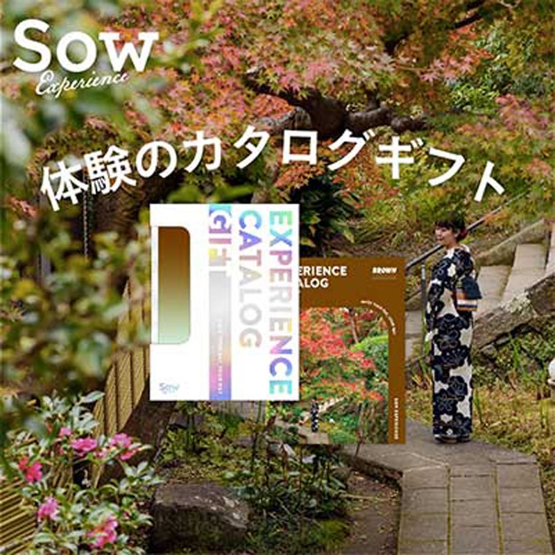 SOW EXPERIENCE(ソウ・エクスペリエンス) 総合版カタログギフト（BROWN