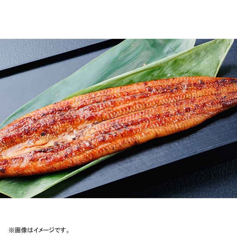 山金/鹿児島県　うなぎ長焼き（大）