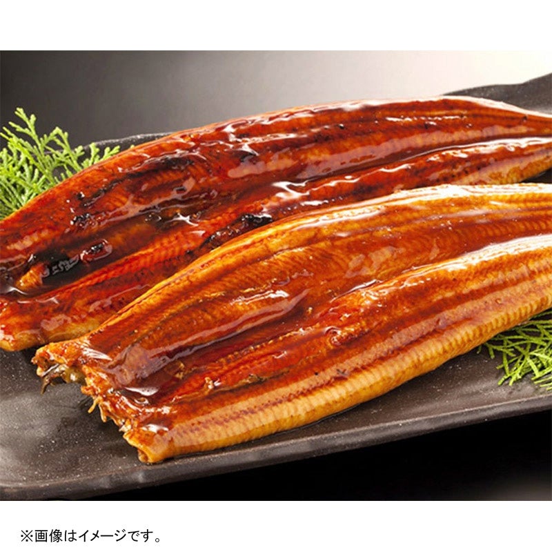 山金/鹿児島県　うなぎ長焼き