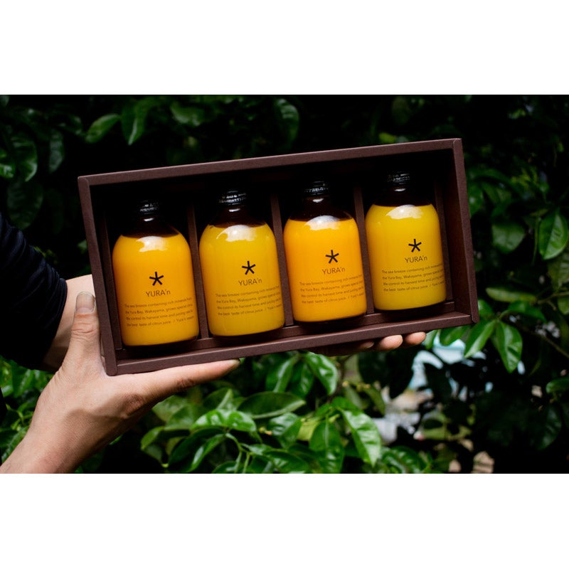 YURA'n 柑橘4種ジュースセット 果汁100％ 250㍉4本セット｜YURA'n JUICE（ユランジュース）