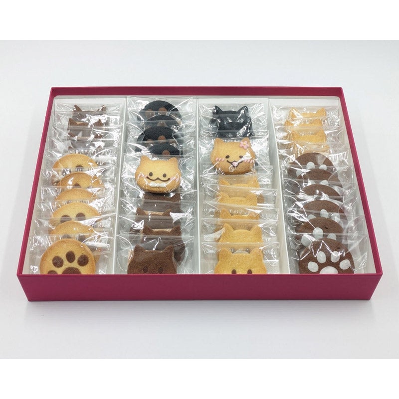 CHOOSEBASE SHIBUYA いもねこの“つながる”ギフトBOX｜いもねこ