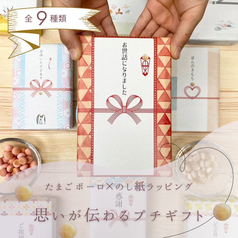 熨斗風 メッセージ 包装紙プチギフト たまごボーロ2袋入り｜たまごボーロ専門店LeCoco（タマゴボーロセンモ