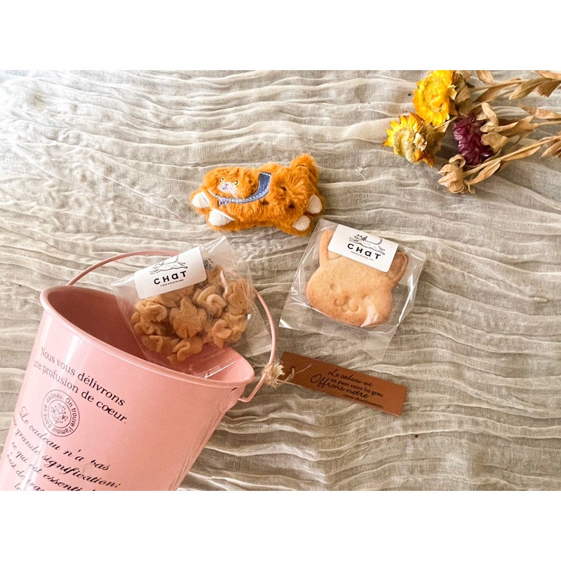 【Glutenfree ＆Vegan】猫のぬいぐるみとクッキーのセット｜アリサの北海道お菓子店 chat（アリサノホッカイ