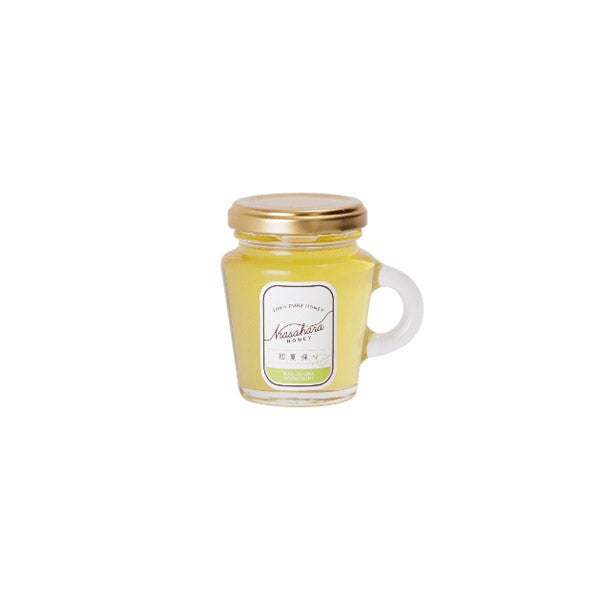 初夏採り蜂蜜 120g｜KASAHARA HONEY（カサハラハニー）