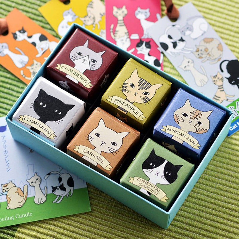 猫会議｜アロマキャンドル6個セット｜Candly（キャンドリー）