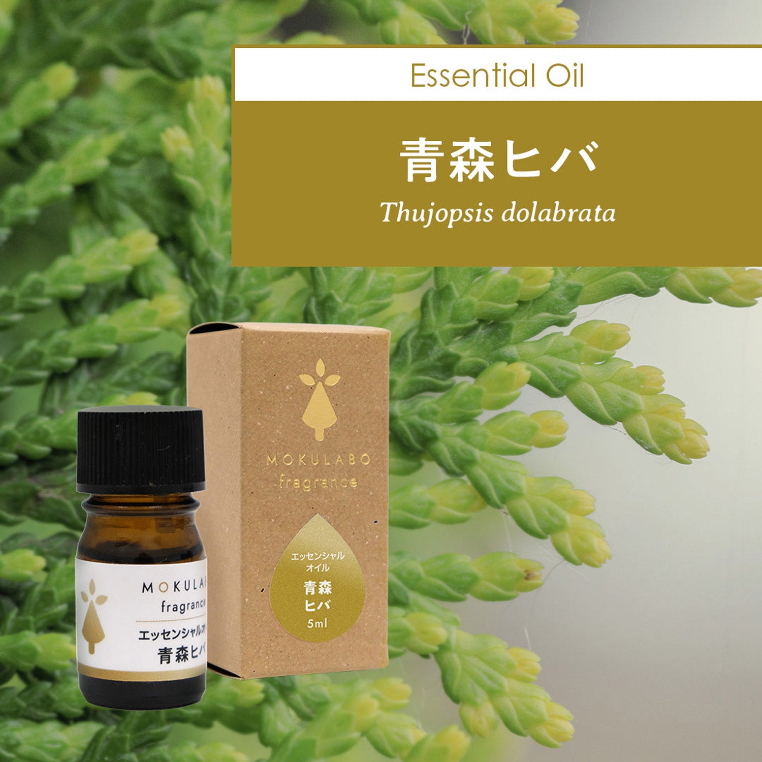 CHOOSEBASE SHIBUYA Happi Earthオーガニックソープナッツ洗濯用