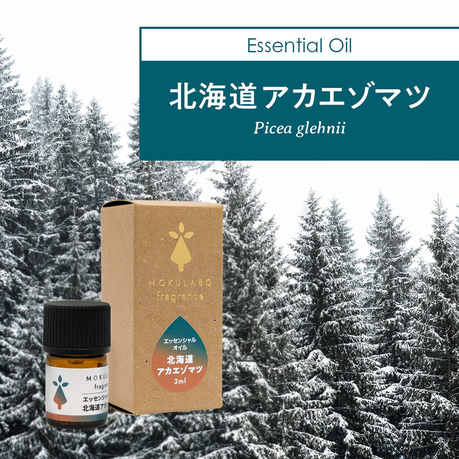 日本の木のアロマ　エッセンシャルオイル　北海道アカエゾマツ｜MOKULABO fragrance（モクラボフレグランス）