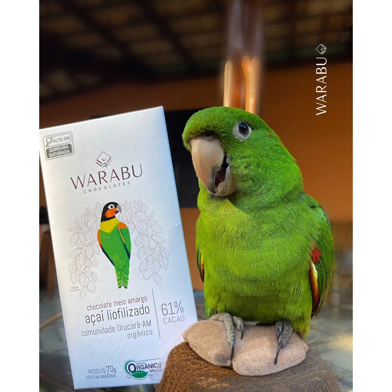 ダークチョコレートバー フリーズドライアサイー 61% | 70g｜WARABU CHOCOLATES（ワラブチョコレート）