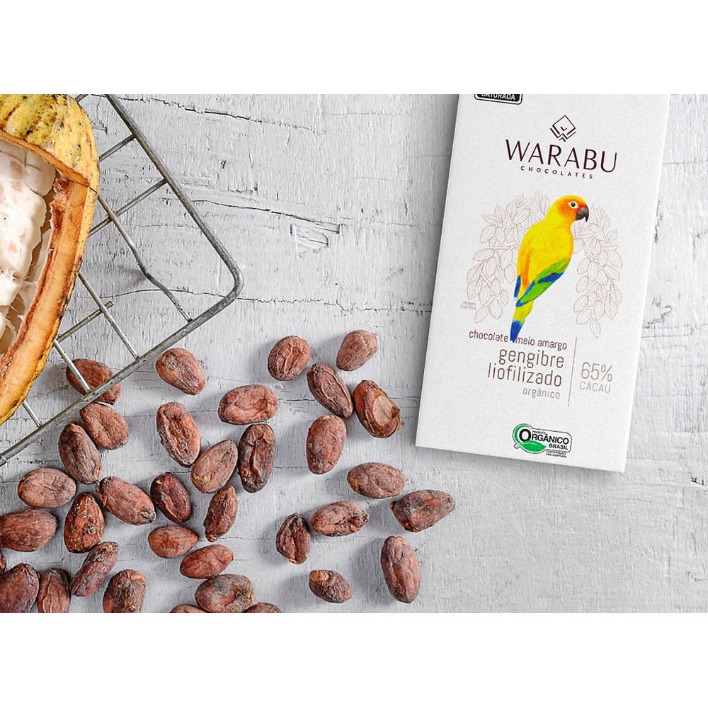 ダークチョコレートバー 生姜 65% | 70g｜WARABU CHOCOLATES（ワラブチョコレート）