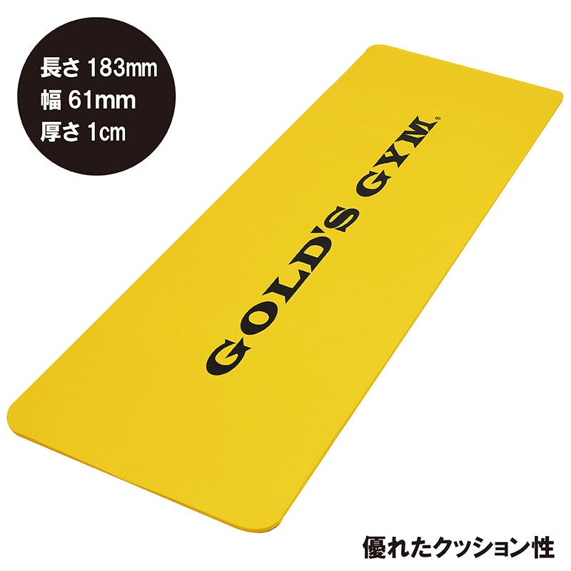schiek/ゴールドジム　トレーニングセット グッドラックフィールド 【ゴールドジム】トレーニングマット YW