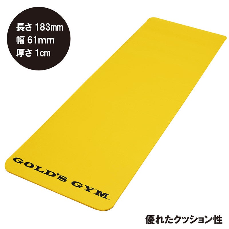 グッドラックフィールド 【ゴールドジム】トレーニングマット YW
