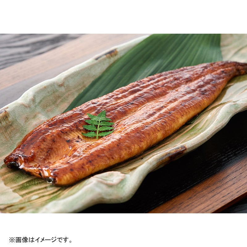 鹿児島県産うなぎ蒲焼 約165g×3尾