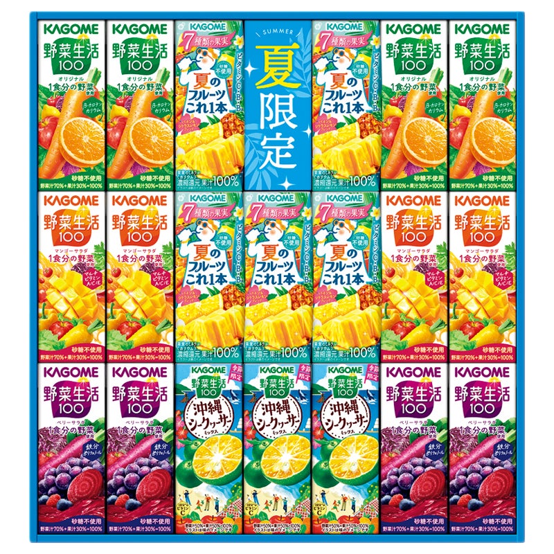 カゴメ　すこやかサマーバラエティギフト