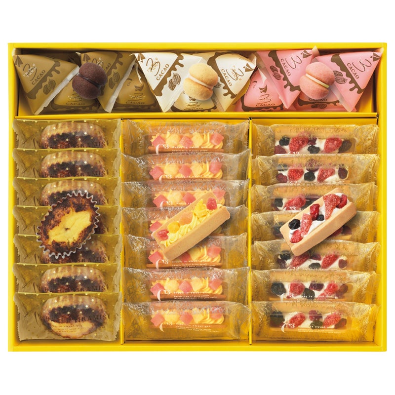 txt ちょこのせ 10種 10体セット シーキューブ(お中元) シーキューブ サニーアソートフルーツ