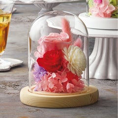 日比谷花壇 ガラスドームプリザーブドアレンジメント ソレイユ レッド･ピンク