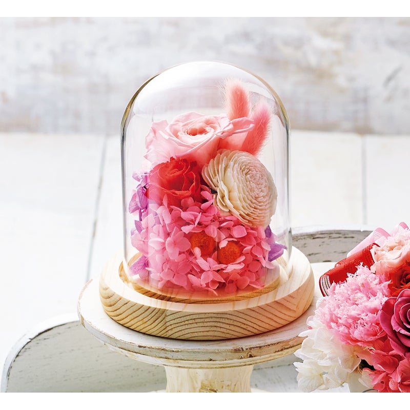 日比谷花壇 ガラスドームプリザーブドアレンジメント ソレイユ レッド･ピンク
