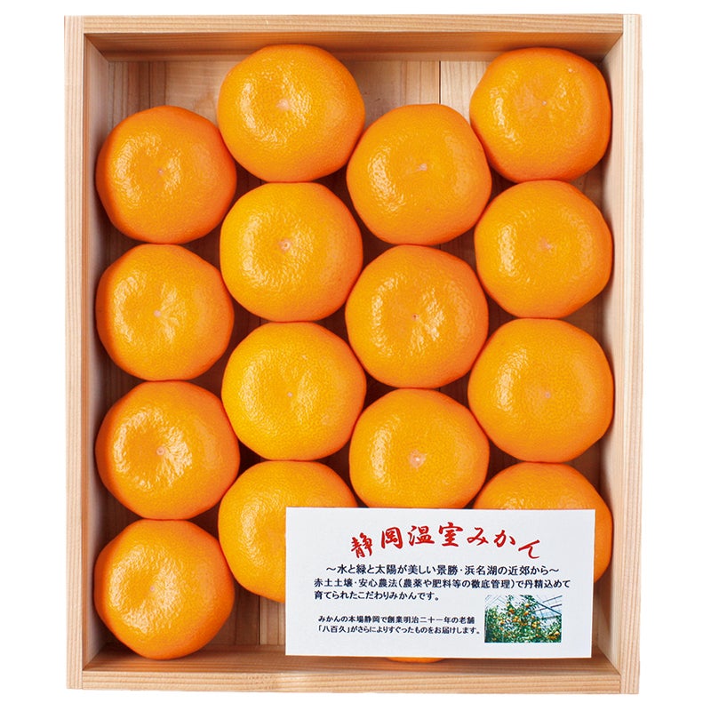 静岡産　温室みかん