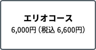 エリオコース 6,000円（税込 6,600円）