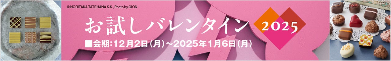 お試しバレンタインチョコ特集2025年 通販商品一覧