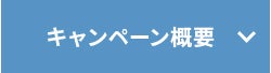 キャンペーン概要