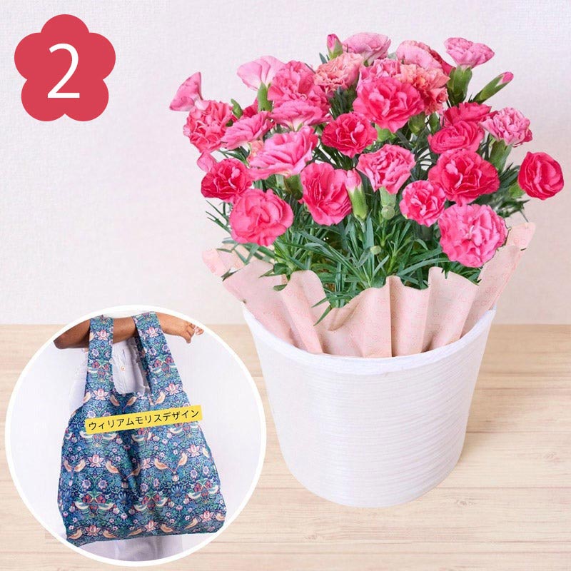 2位：Fleurs et bonbons（フルー エト ボンボン）／【母の日ギフト】カーネーション （ピンク）とエコバッグ