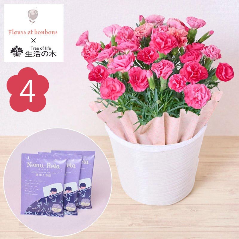 4位：Fleurs et bonbons（フルー エト ボンボン）／【母の日ギフト】カーネーション（ピンク）と入浴剤