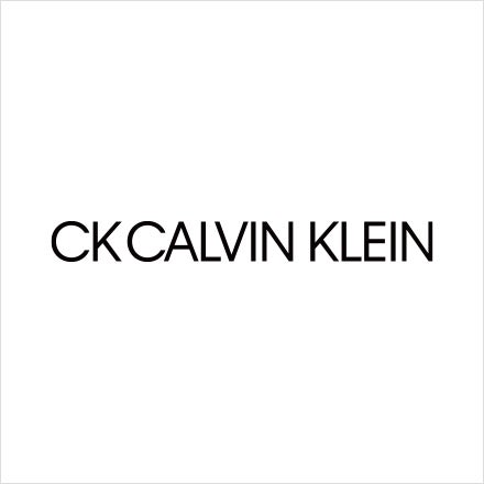 CK CALVIN KLEIN (レザーグッズ)