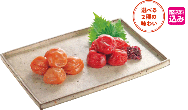 和歌山産 小粒南高梅国産みかん蜂蜜入