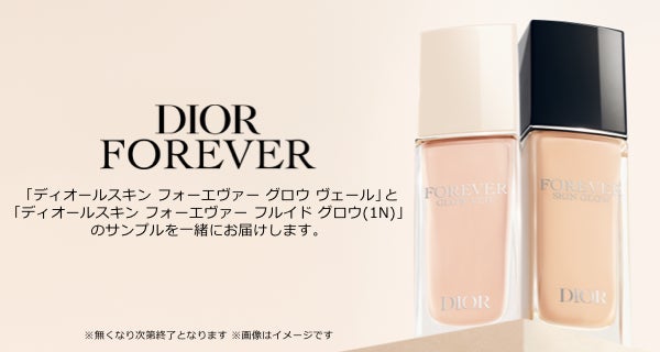 ＤＩＯＲ ルージュ ディオール フォーエヴァー スティック 通販 - 西武・そごうの公式ショッピングサイト e.デパート